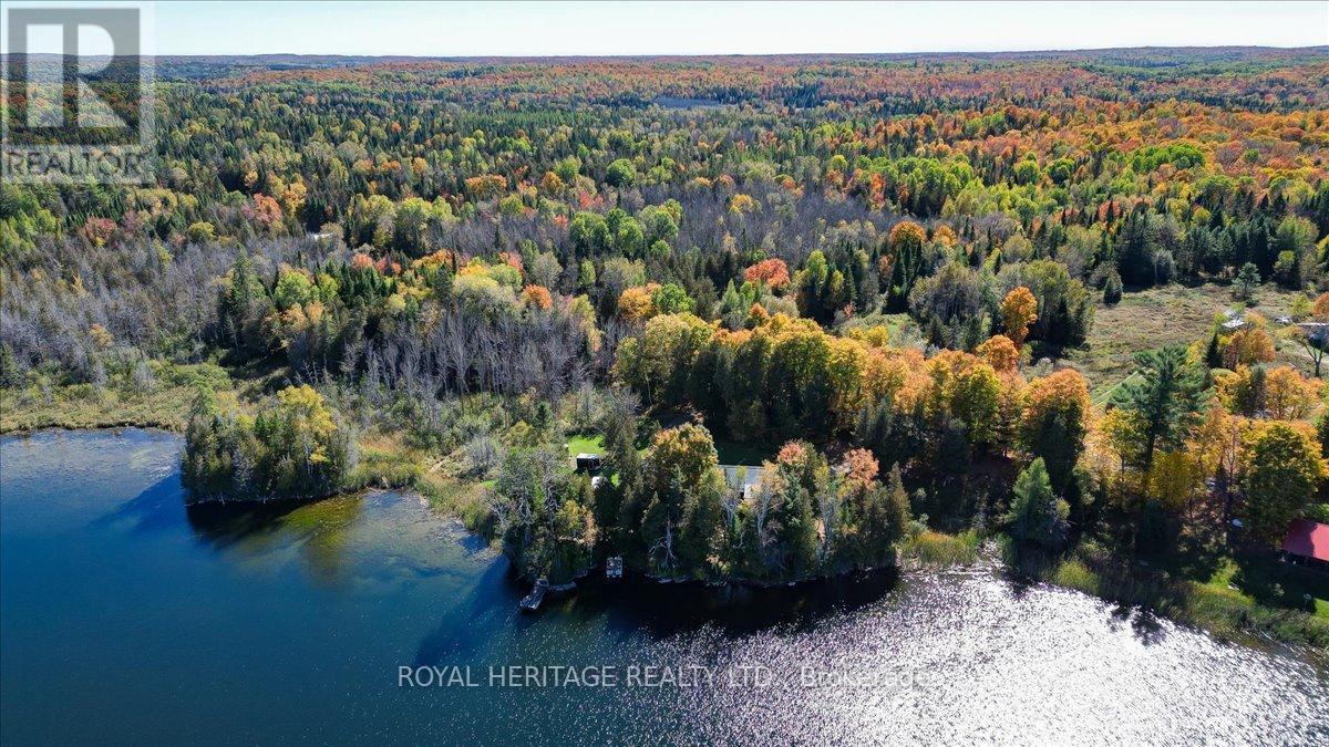 337 Upper Turriff Road, Bancroft (Dungannon Ward), Ontario  K0L 2L0 - Photo 27 - X12425496