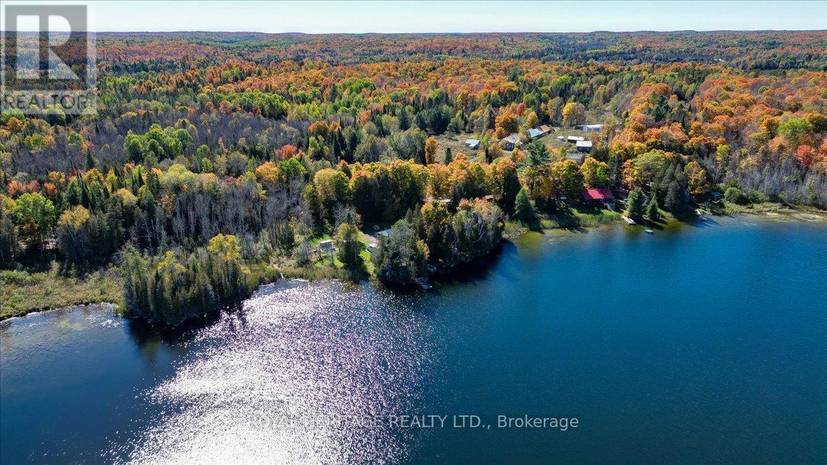 337 Upper Turriff Road, Bancroft (Dungannon Ward), Ontario  K0L 2L0 - Photo 28 - X12425496