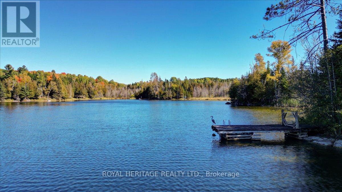 337 Upper Turriff Road, Bancroft (Dungannon Ward), Ontario  K0L 2L0 - Photo 38 - X12425496