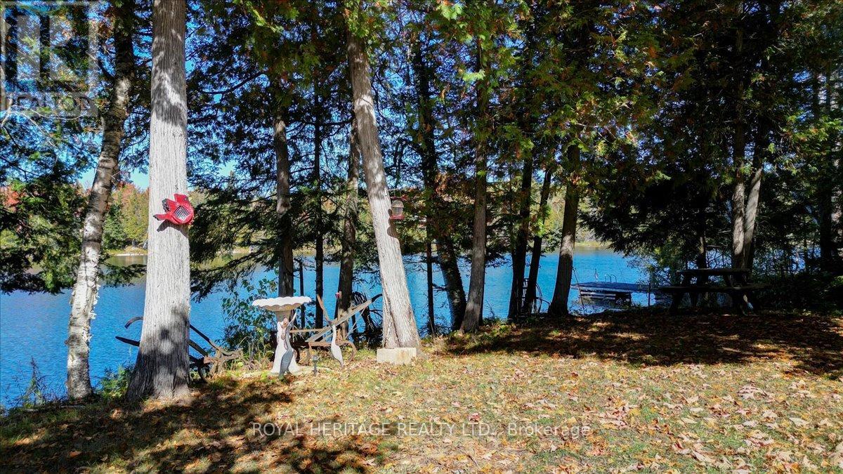 337 Upper Turriff Road, Bancroft (Dungannon Ward), Ontario  K0L 2L0 - Photo 42 - X12425496