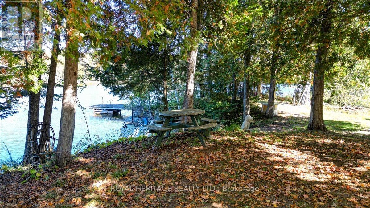 337 Upper Turriff Road, Bancroft (Dungannon Ward), Ontario  K0L 2L0 - Photo 43 - X12425496