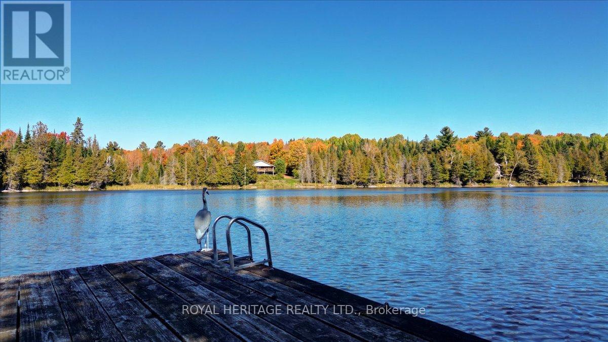 337 Upper Turriff Road, Bancroft (Dungannon Ward), Ontario  K0L 2L0 - Photo 45 - X12425496