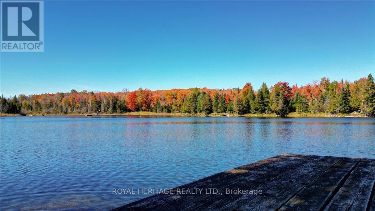 337 Upper Turriff Road, Bancroft (Dungannon Ward), Ontario  K0L 2L0 - Photo 46 - X12425496