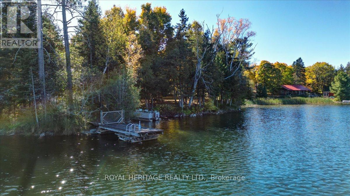 337 Upper Turriff Road, Bancroft (Dungannon Ward), Ontario  K0L 2L0 - Photo 49 - X12425496