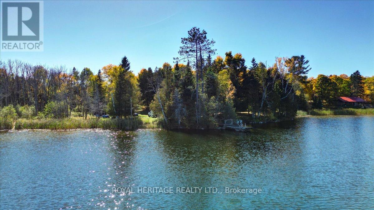 337 Upper Turriff Road, Bancroft (Dungannon Ward), Ontario  K0L 2L0 - Photo 50 - X12425496