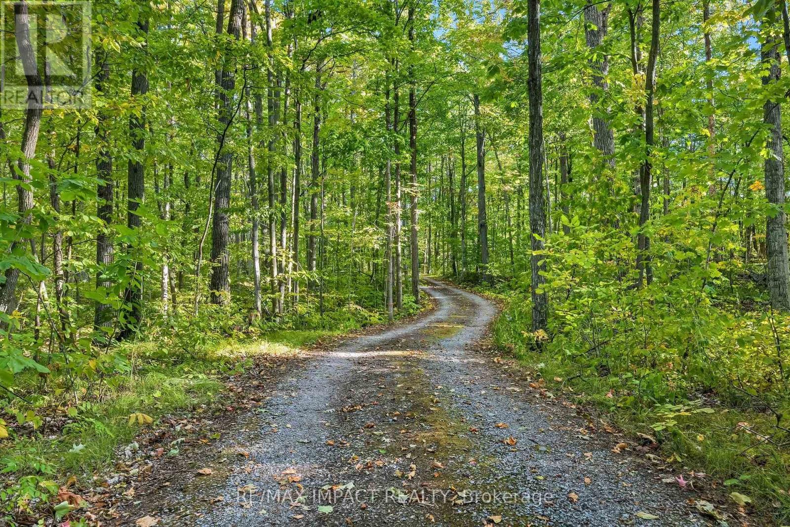 1530 10 Line W, Trent Hills (Campbellford), Ontario  K0L 1L0 - Photo 4 - X12426160