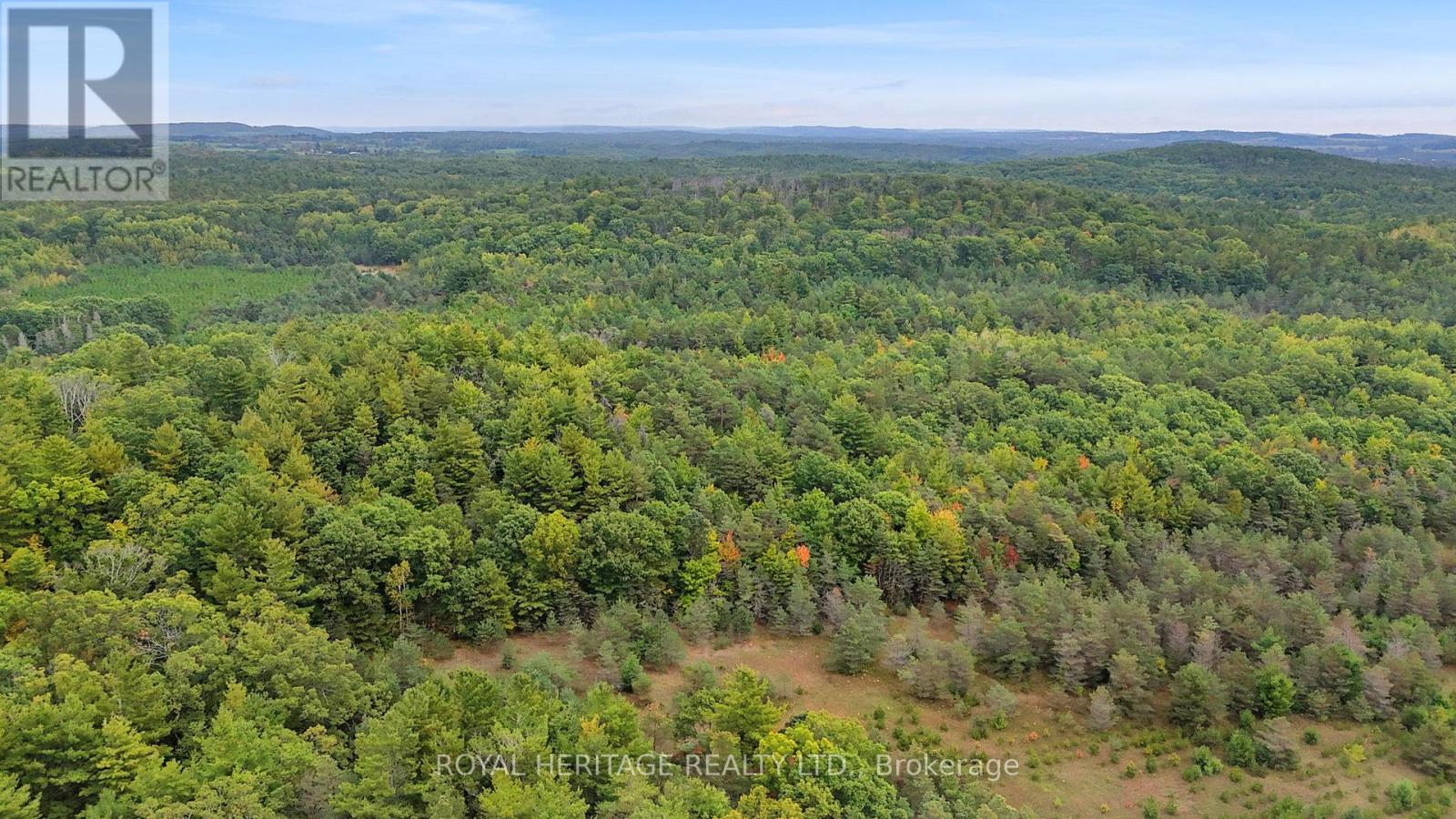 9672 Walker Road, Port Hope, Ontario  L0A 1B0 - Photo 5 - X12427116
