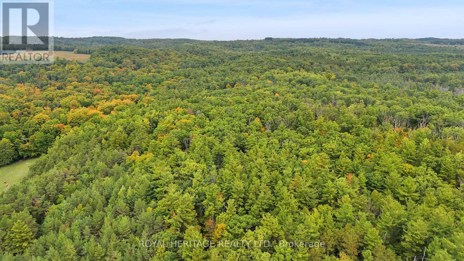 9672 Walker Road, Port Hope, Ontario  L0A 1B0 - Photo 6 - X12427116