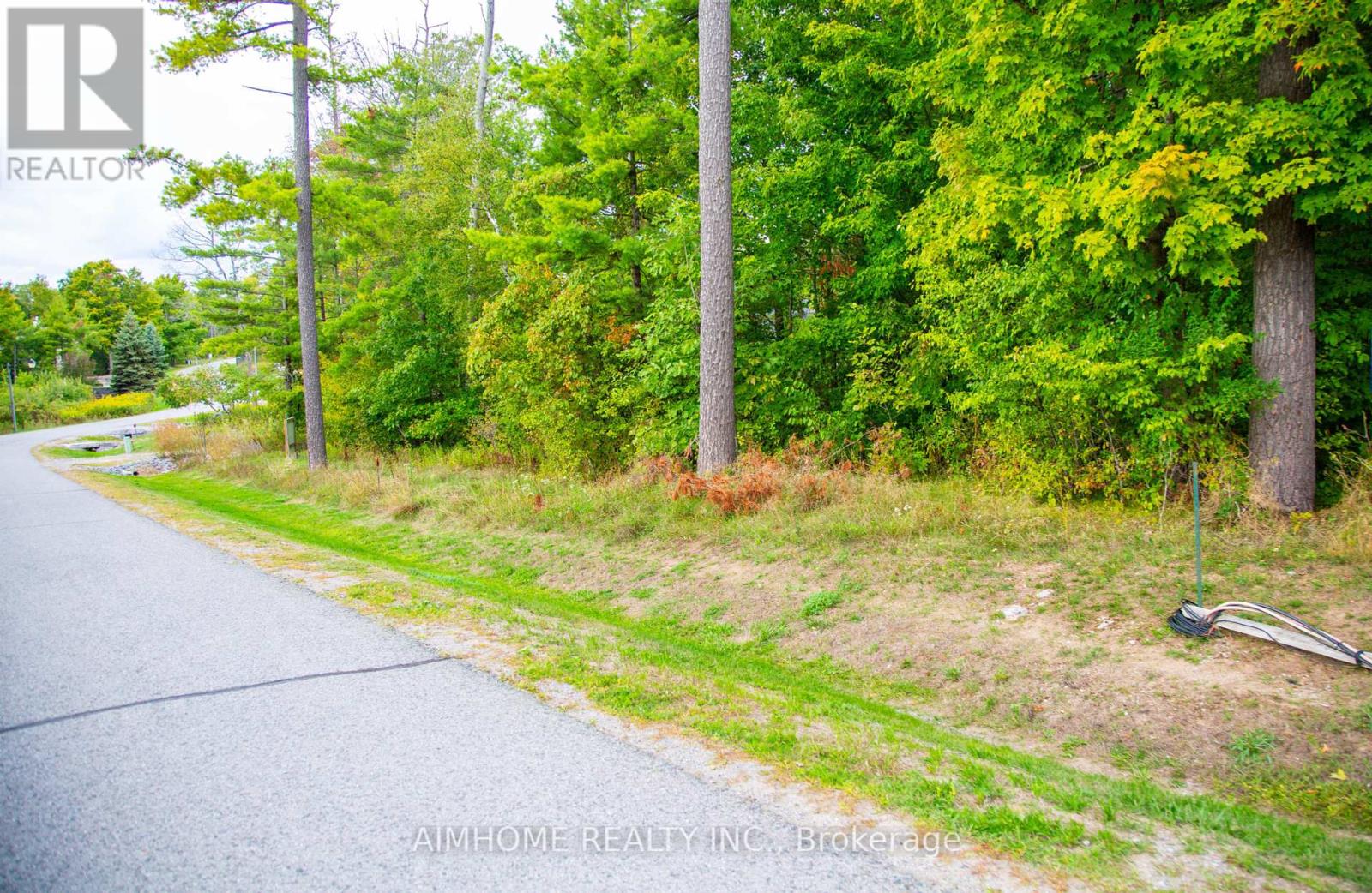 Lot 39 Fire Route 70, Trent Lakes, Ontario  K0L 1K0 - Photo 2 - X12428522