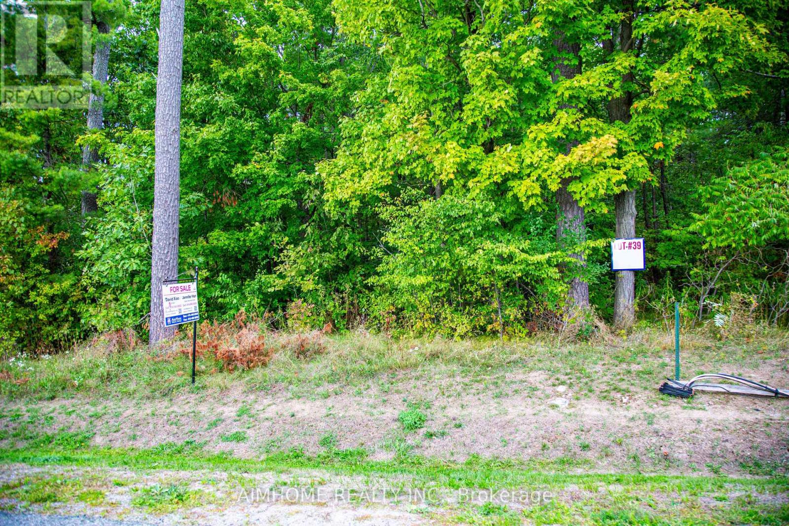 Lot 39 Fire Route 70, Trent Lakes, Ontario  K0L 1K0 - Photo 4 - X12428522