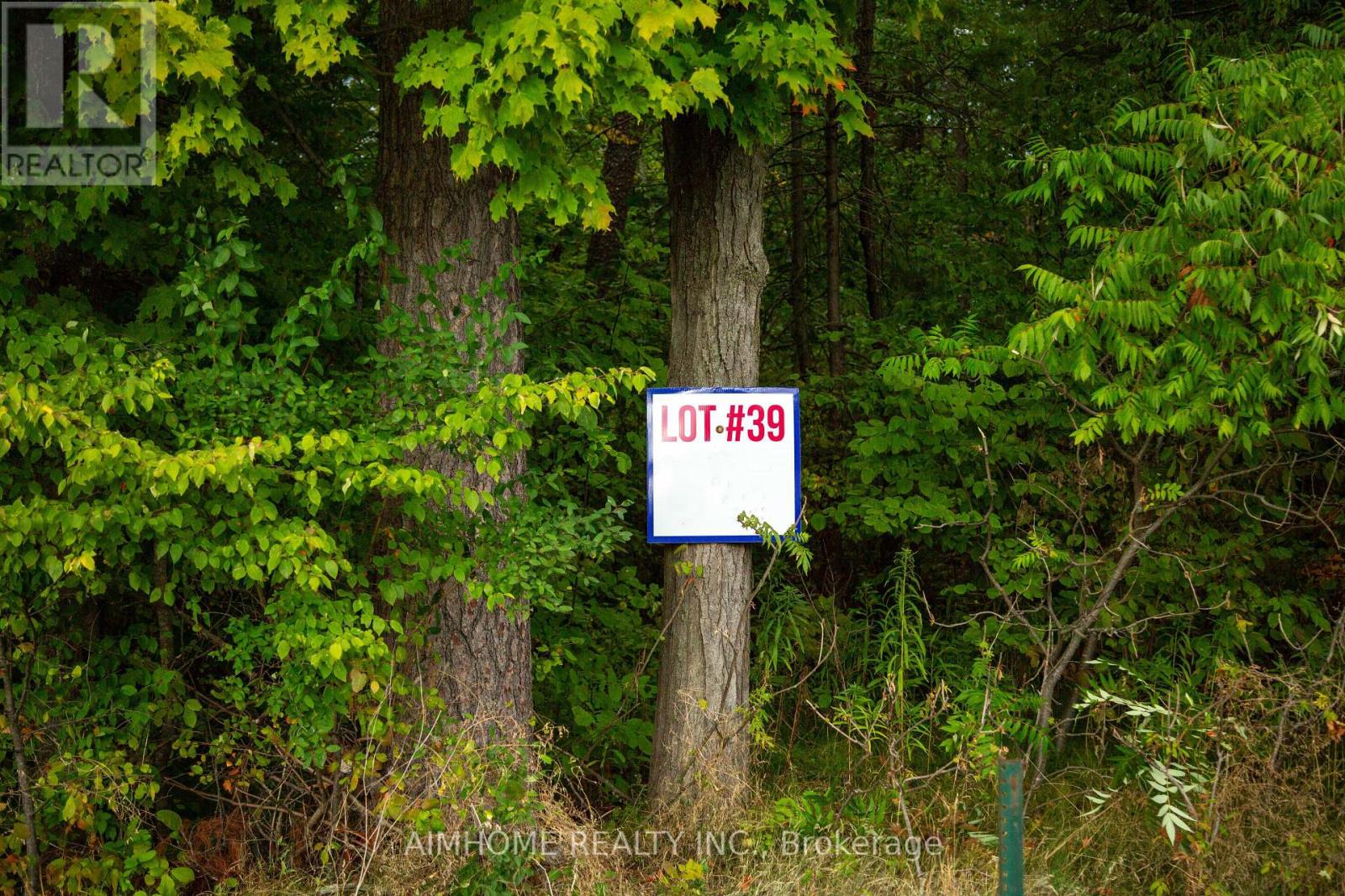 Lot 39 Fire Route 70, Trent Lakes, Ontario  K0L 1K0 - Photo 6 - X12428522