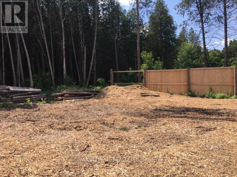 3341 Concession 4 Road, Clarington, Ontario  L1B 1L9 - Photo 4 - E12429578