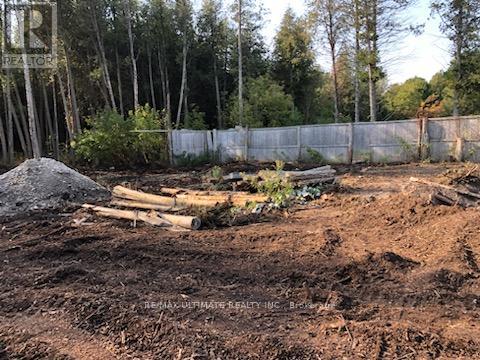 3341 Concession 4 Road, Clarington, Ontario  L1B 1L9 - Photo 7 - E12429578