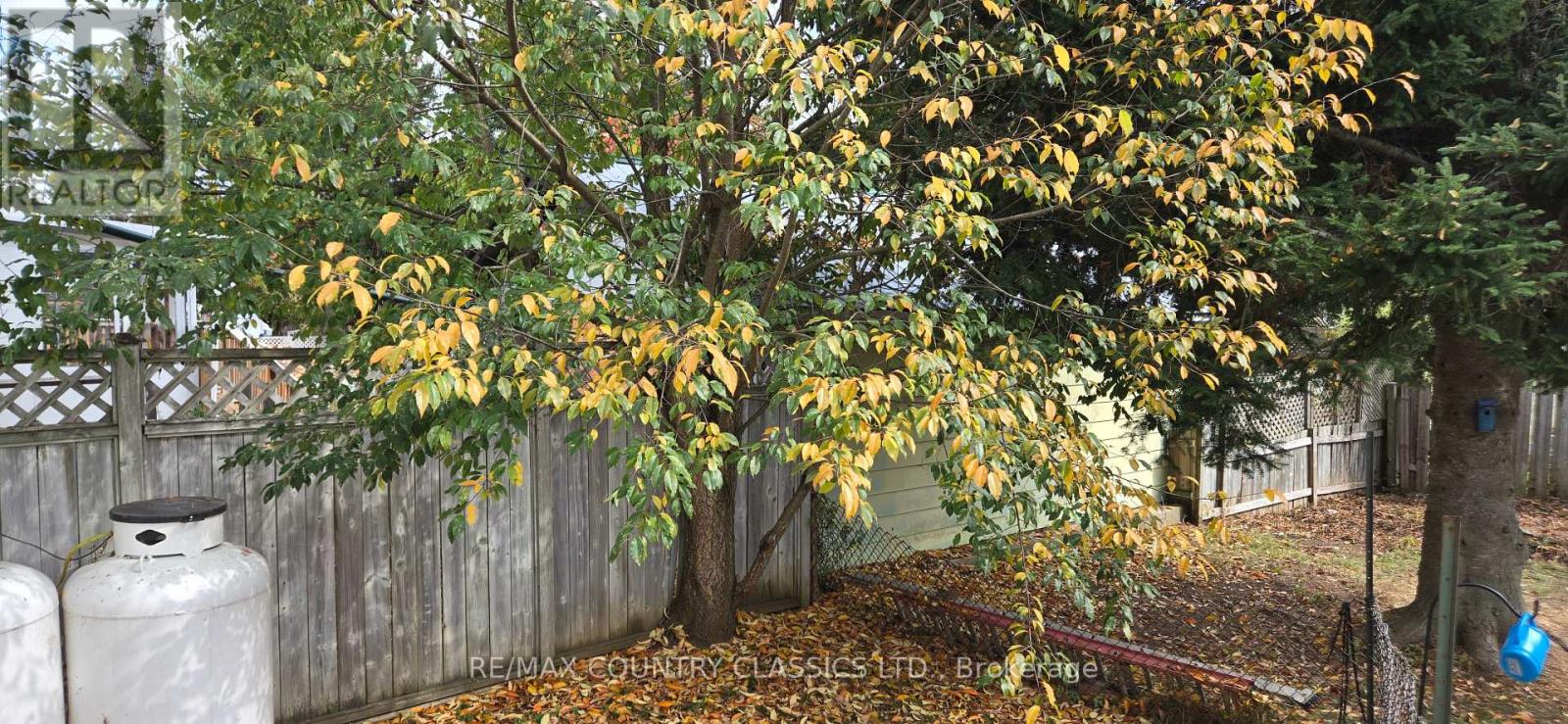 7 Hemlock Street, Highlands East (Cardiff Ward), Ontario  K0L 1M0 - Photo 14 - X12432373