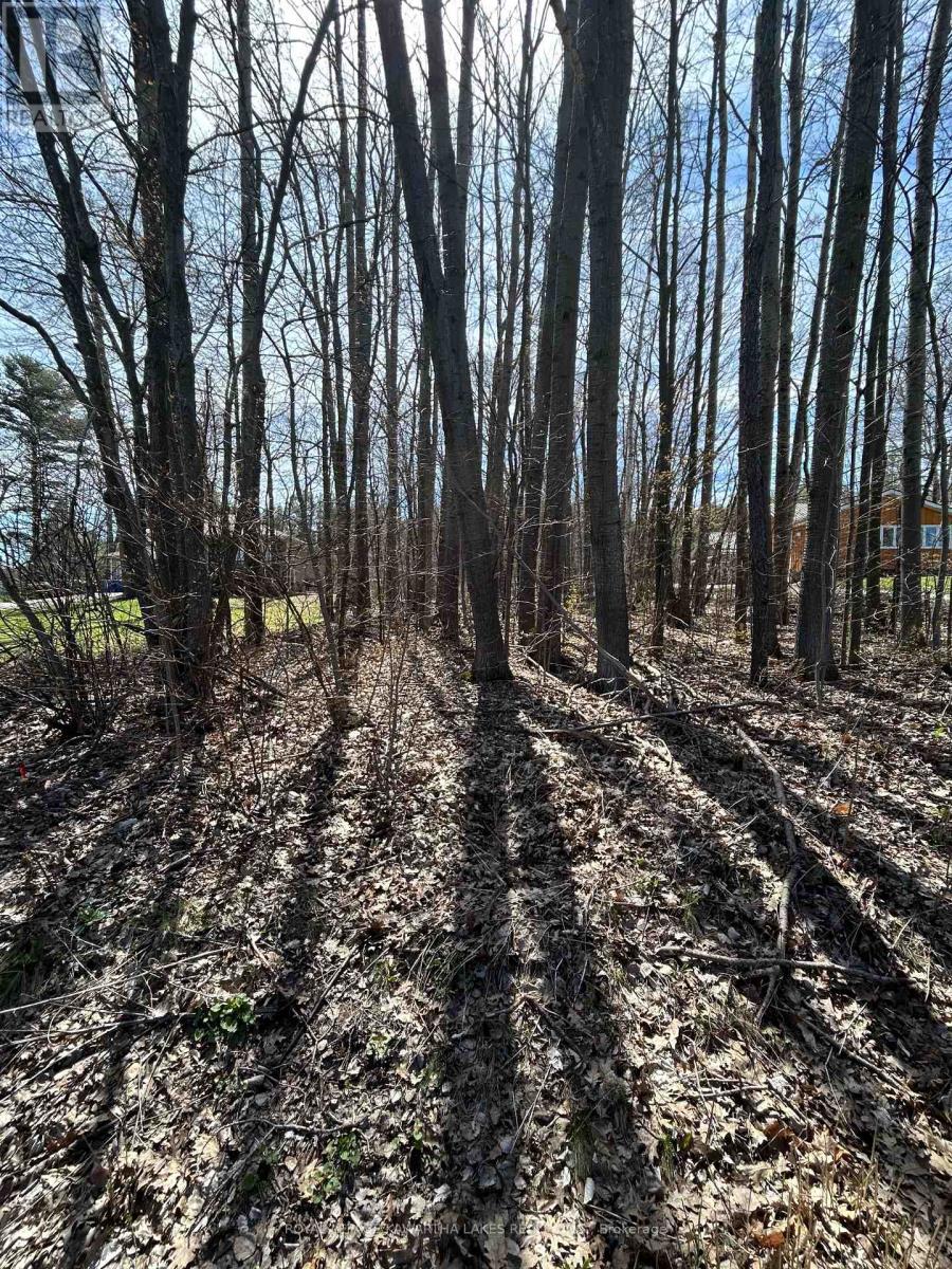 0 Poplar Drive, Hamilton Township (Bewdley), Ontario  K0L 1E0 - Photo 2 - X12436091