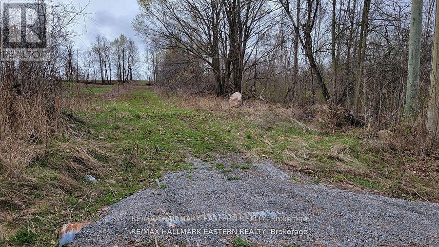 1737 Thirteenth Line, Selwyn, Ontario  K0L 2H0 - Photo 11 - X12436200