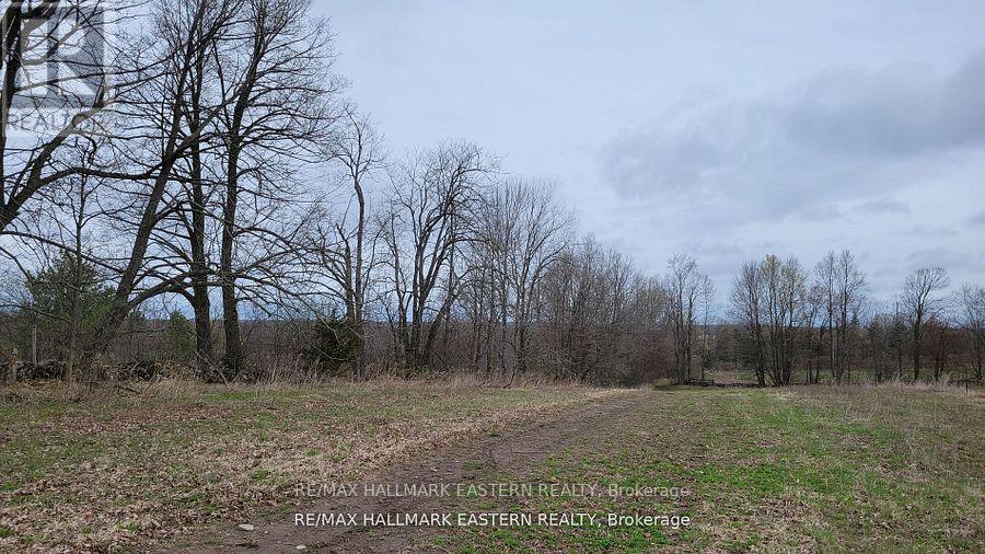 1737 Thirteenth Line, Selwyn, Ontario  K0L 2H0 - Photo 12 - X12436200