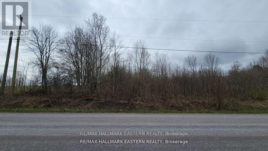 1737 Thirteenth Line, Selwyn, Ontario  K0L 2H0 - Photo 24 - X12436200