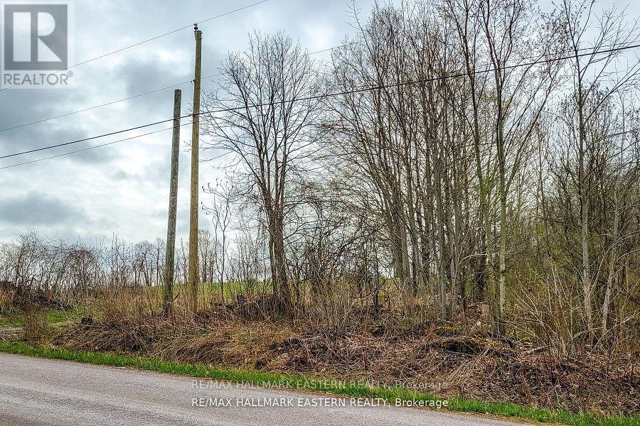 1737 Thirteenth Line, Selwyn, Ontario  K0L 2H0 - Photo 5 - X12436200