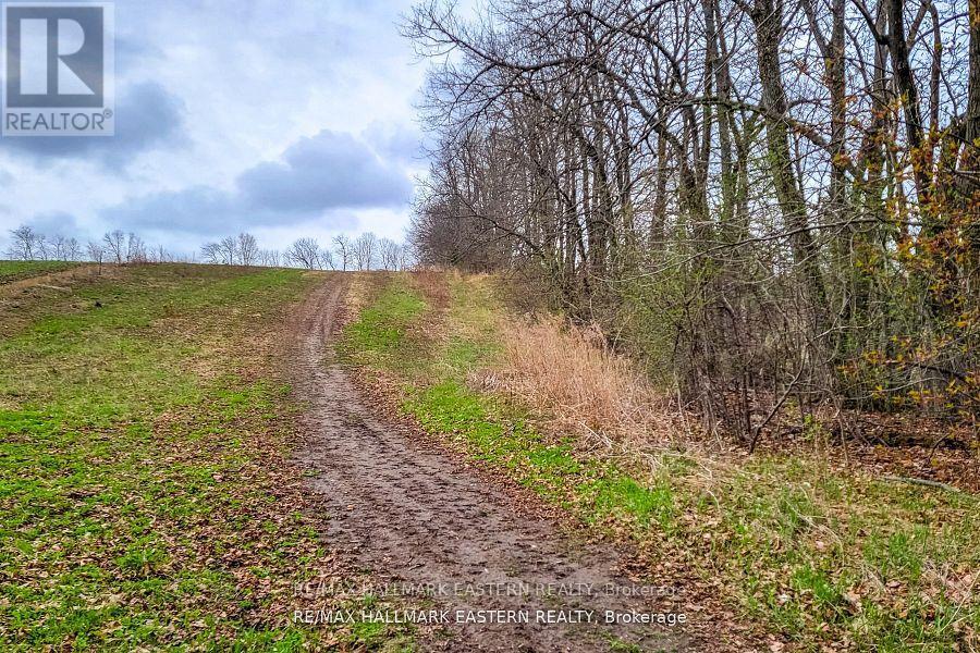 1737 Thirteenth Line, Selwyn, Ontario  K0L 2H0 - Photo 8 - X12436200