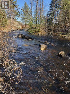 2449 The Ridge Road, Marmora And Lake (Lake Ward), Ontario  K0L 1P0 - Photo 22 - X12436607