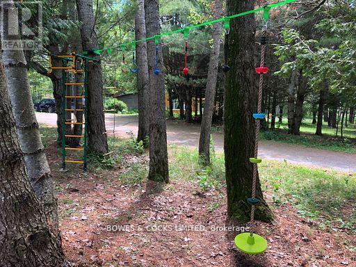 2449 The Ridge Road, Marmora And Lake (Lake Ward), Ontario  K0L 1P0 - Photo 40 - X12436607