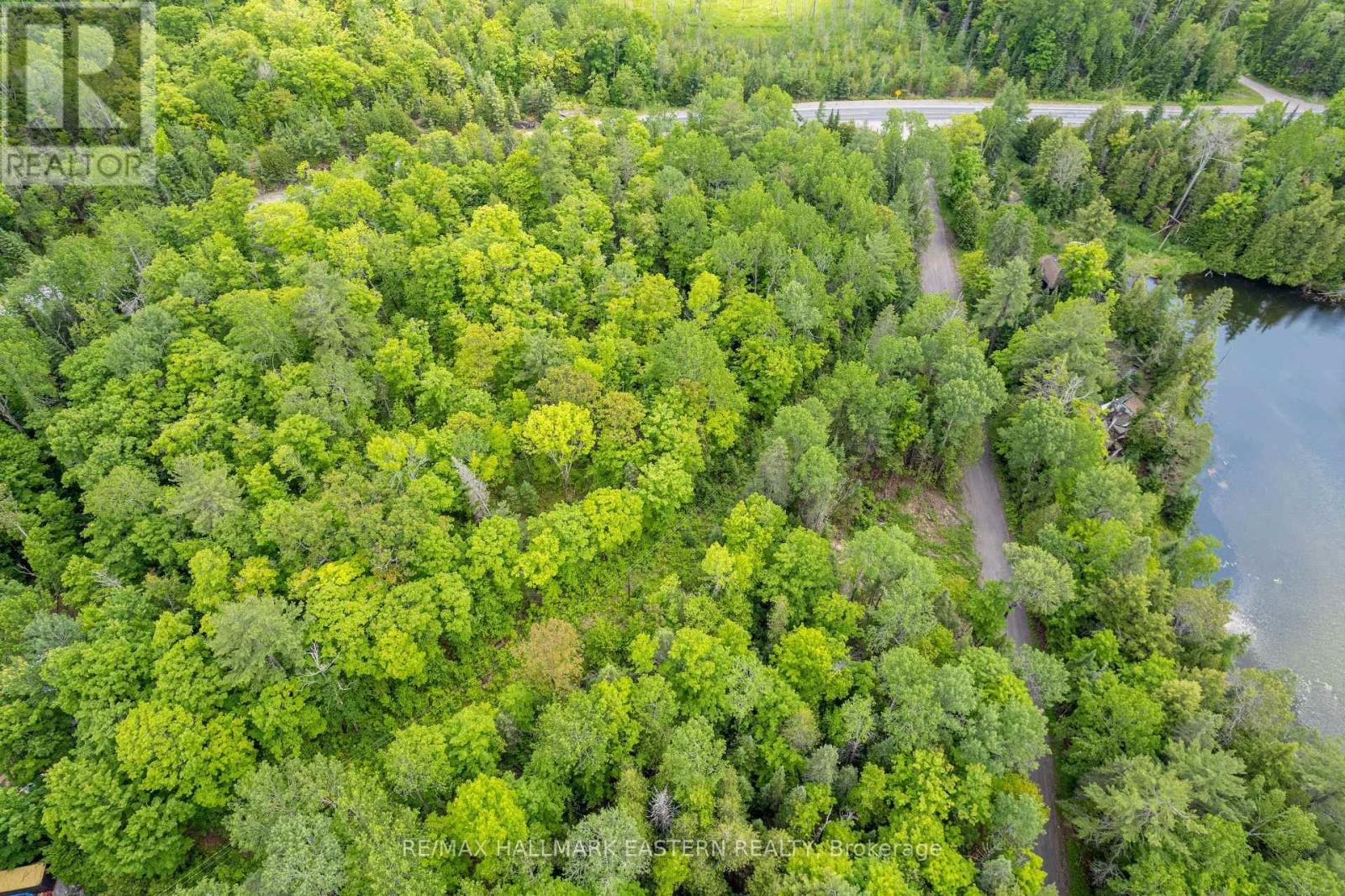 00 Johnson Road, North Kawartha, Ontario  K0L 1A0 - Photo 11 - X12437576