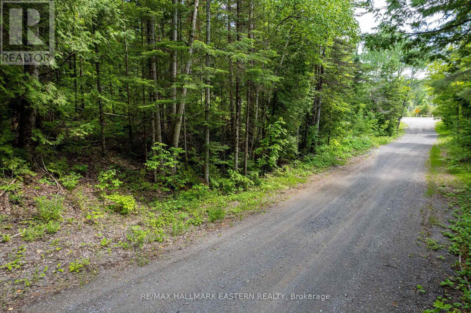 00 Johnson Road, North Kawartha, Ontario  K0L 1A0 - Photo 5 - X12437576