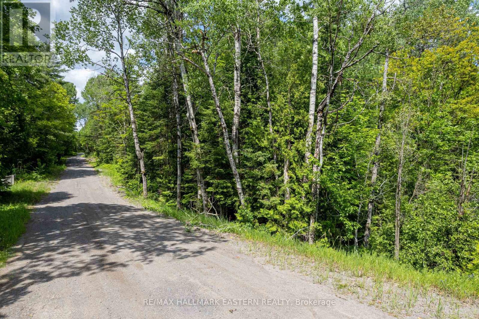 00 Johnson Road, North Kawartha, Ontario  K0L 1A0 - Photo 7 - X12437576