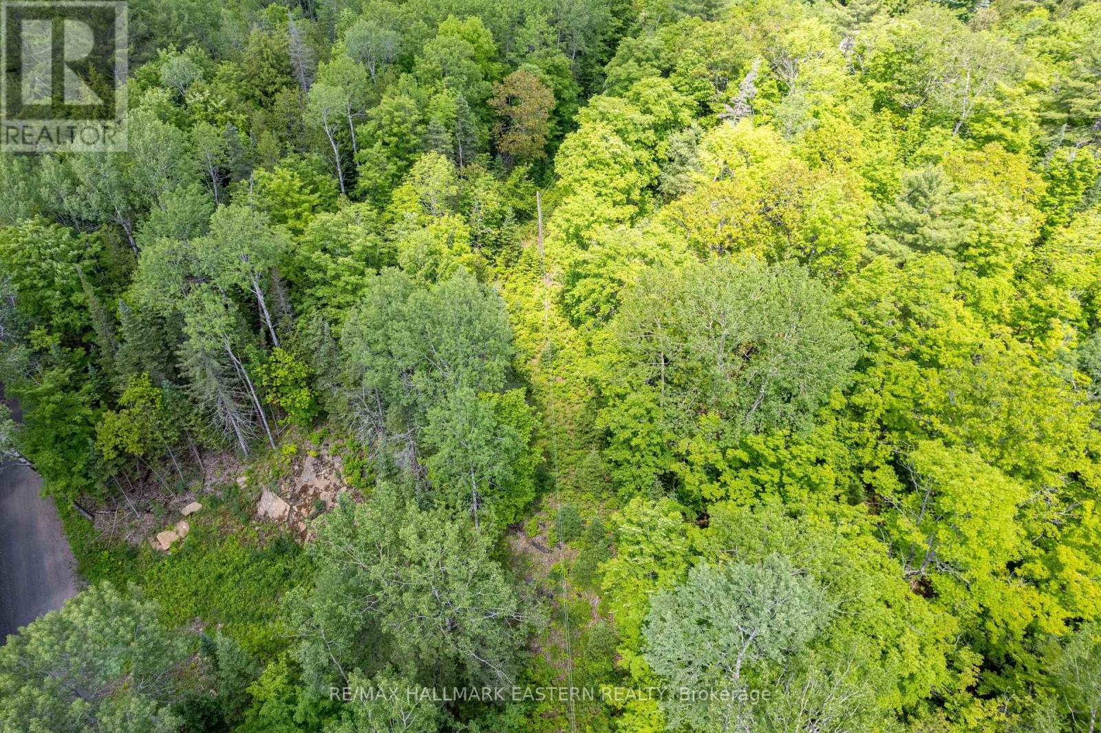 00 Johnson Road, North Kawartha, Ontario  K0L 1A0 - Photo 9 - X12437576