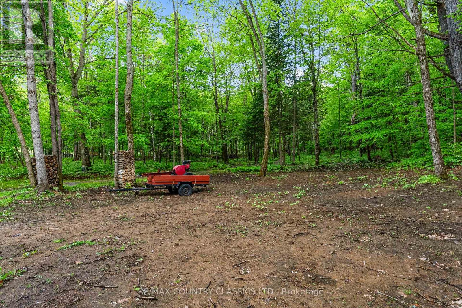 351 Chemaushgon Road, Bancroft (Bancroft Ward), Ontario  K0L 1C0 - Photo 11 - X12438320