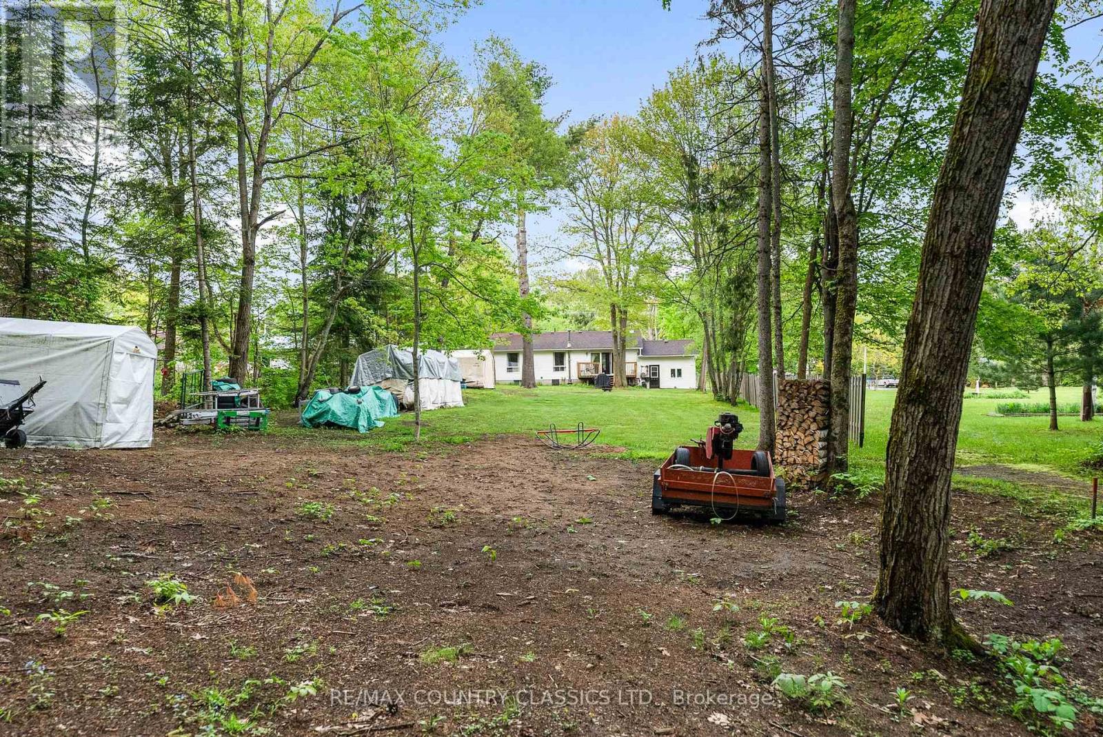 351 Chemaushgon Road, Bancroft (Bancroft Ward), Ontario  K0L 1C0 - Photo 12 - X12438320