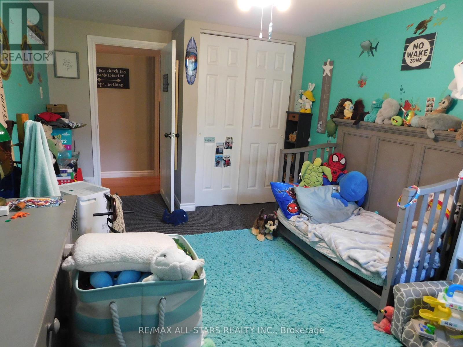 Lower - 232 Angeline Street N, Kawartha Lakes (Lindsay), Ontario  K9V 5E9 - Photo 12 - X12439304