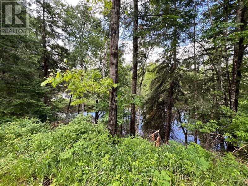 76 York River Drive, Bancroft (Bancroft Ward), Ontario  K0L 1C0 - Photo 37 - X12439369