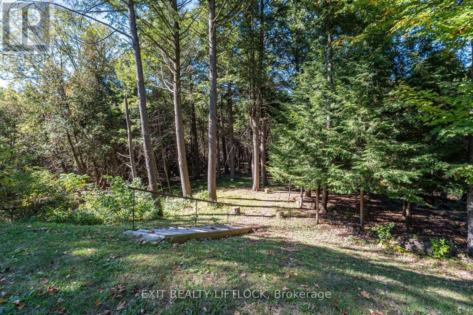 404 County Road 4, Douro-Dummer, Ontario  K9J 6Y1 - Photo 46 - X12439406
