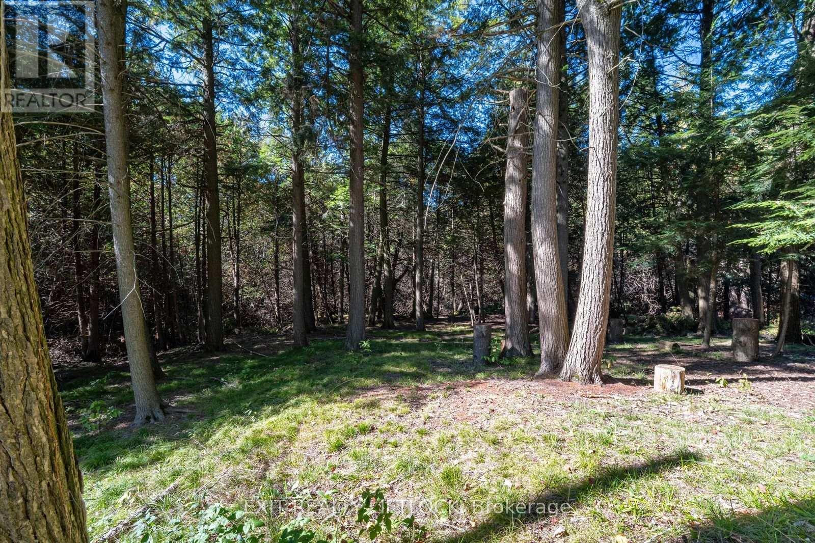 404 County Road 4, Douro-Dummer, Ontario  K9J 6Y1 - Photo 47 - X12439406