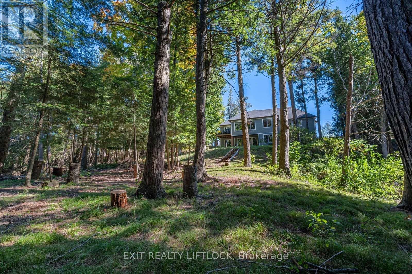 404 County Road 4, Douro-Dummer, Ontario  K9J 6Y1 - Photo 48 - X12439406