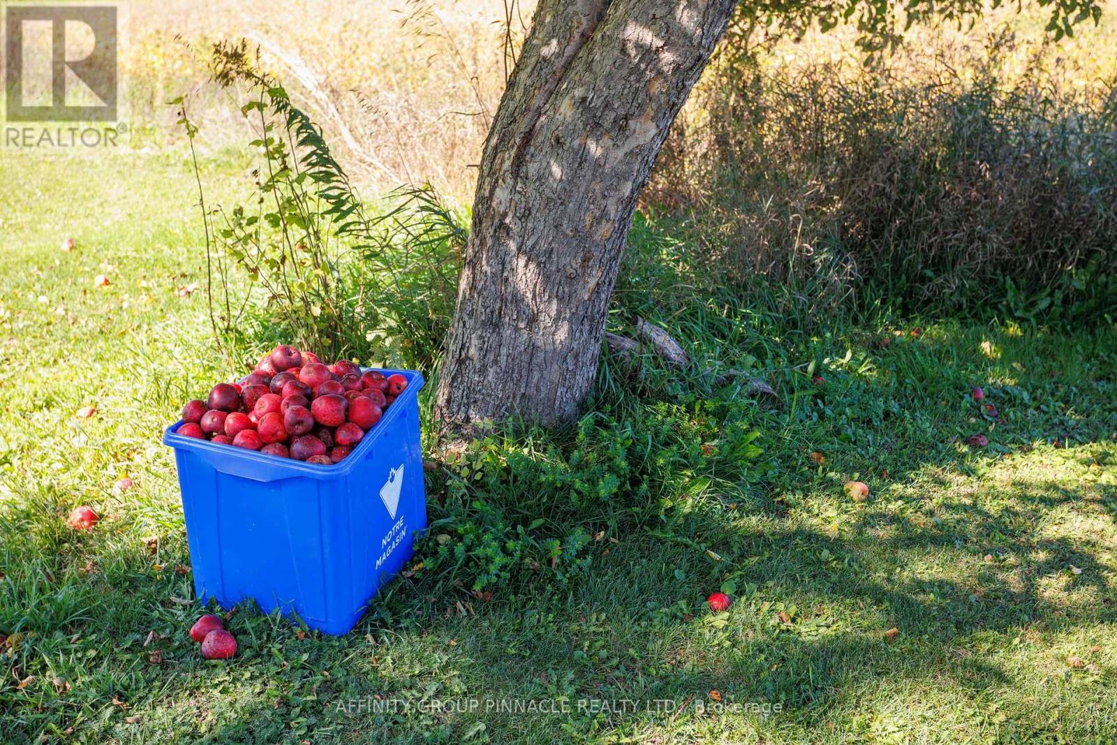 59 Peace Road, Kawartha Lakes (Ops), Ontario  K0L 2X0 - Photo 34 - X12439544