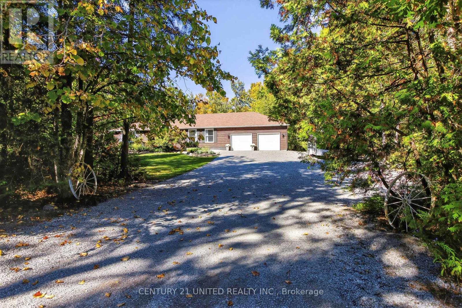 5 Fire Route 46, Trent Lakes, Ontario  K0L 1J0 - Photo 6 - X12439600