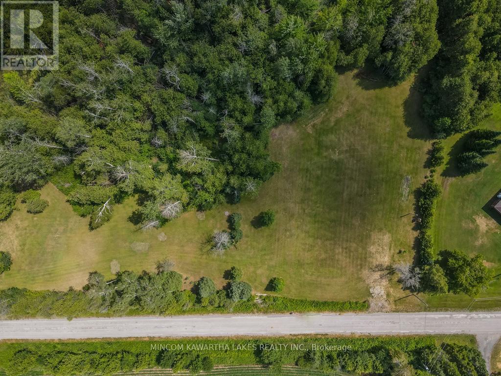 193 Sixth Line E, Otonabee-South Monaghan, Ontario  K9J 6Y3 - Photo 3 - X12439955