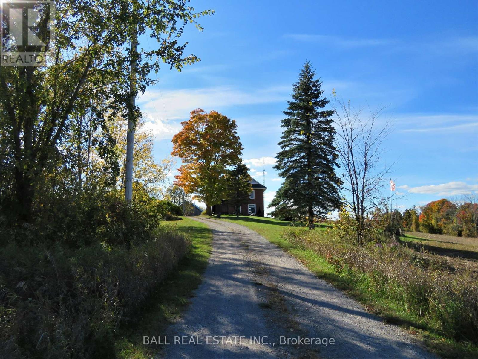 256 8th Line S Dummer, Douro-Dummer, Ontario  K0L 1V0 - Photo 10 - X12440301