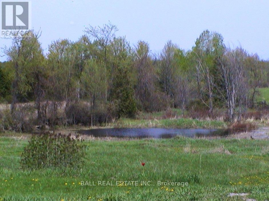 256 8th Line S Dummer, Douro-Dummer, Ontario  K0L 1V0 - Photo 47 - X12440301