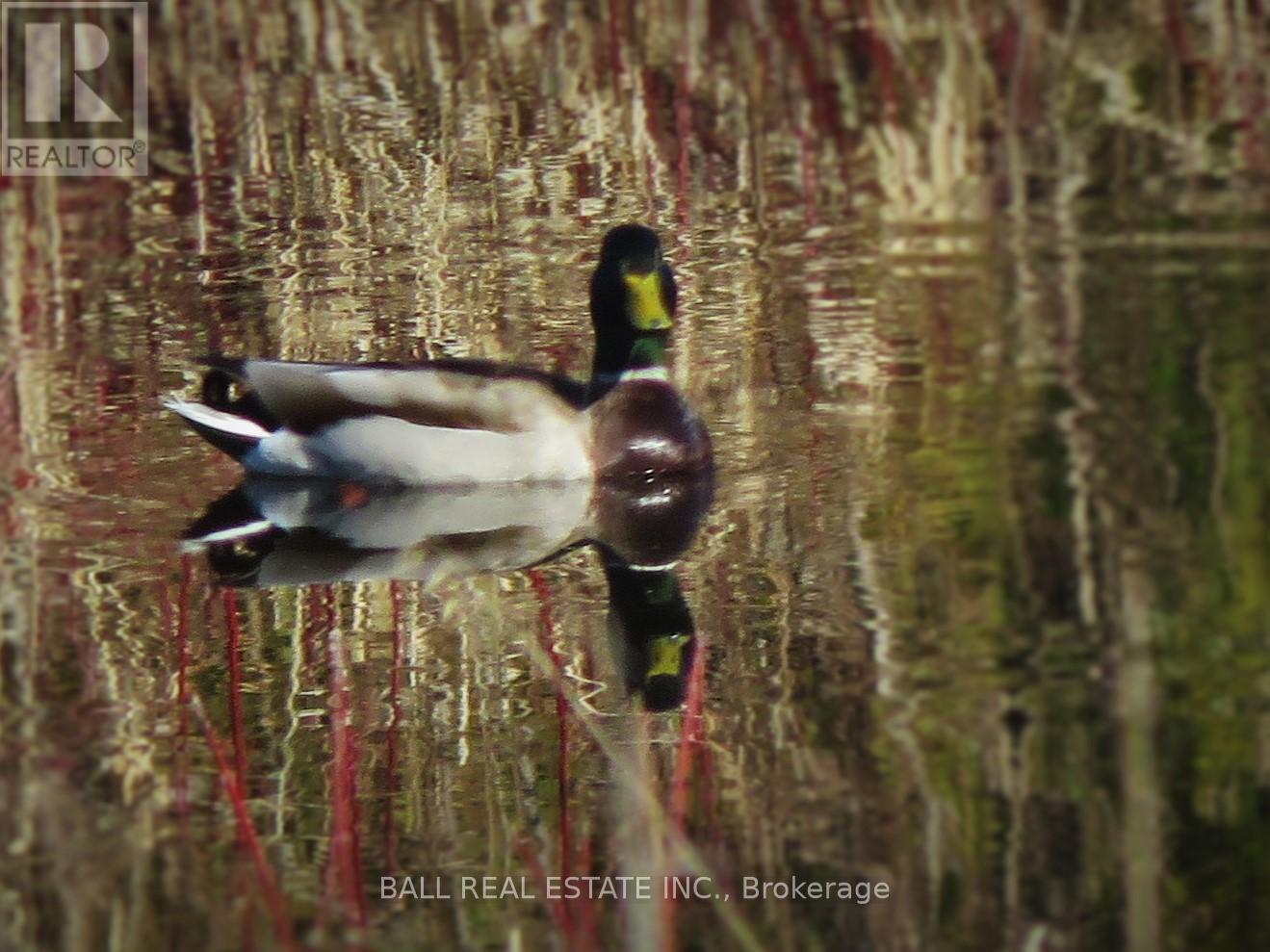 256 8th Line S Dummer, Douro-Dummer, Ontario  K0L 1V0 - Photo 48 - X12440301