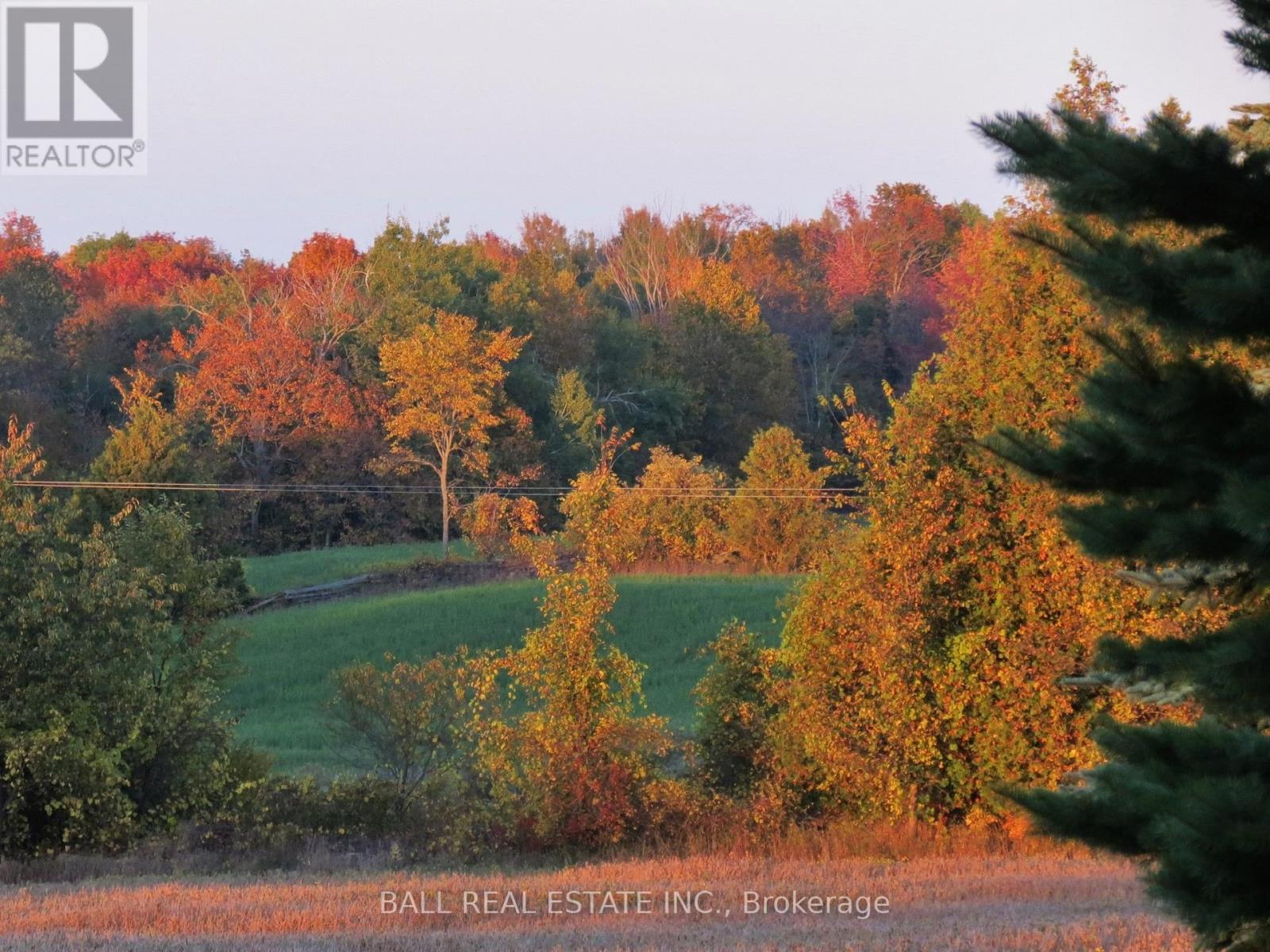 256 8th Line S Dummer, Douro-Dummer, Ontario  K0L 1V0 - Photo 8 - X12440301