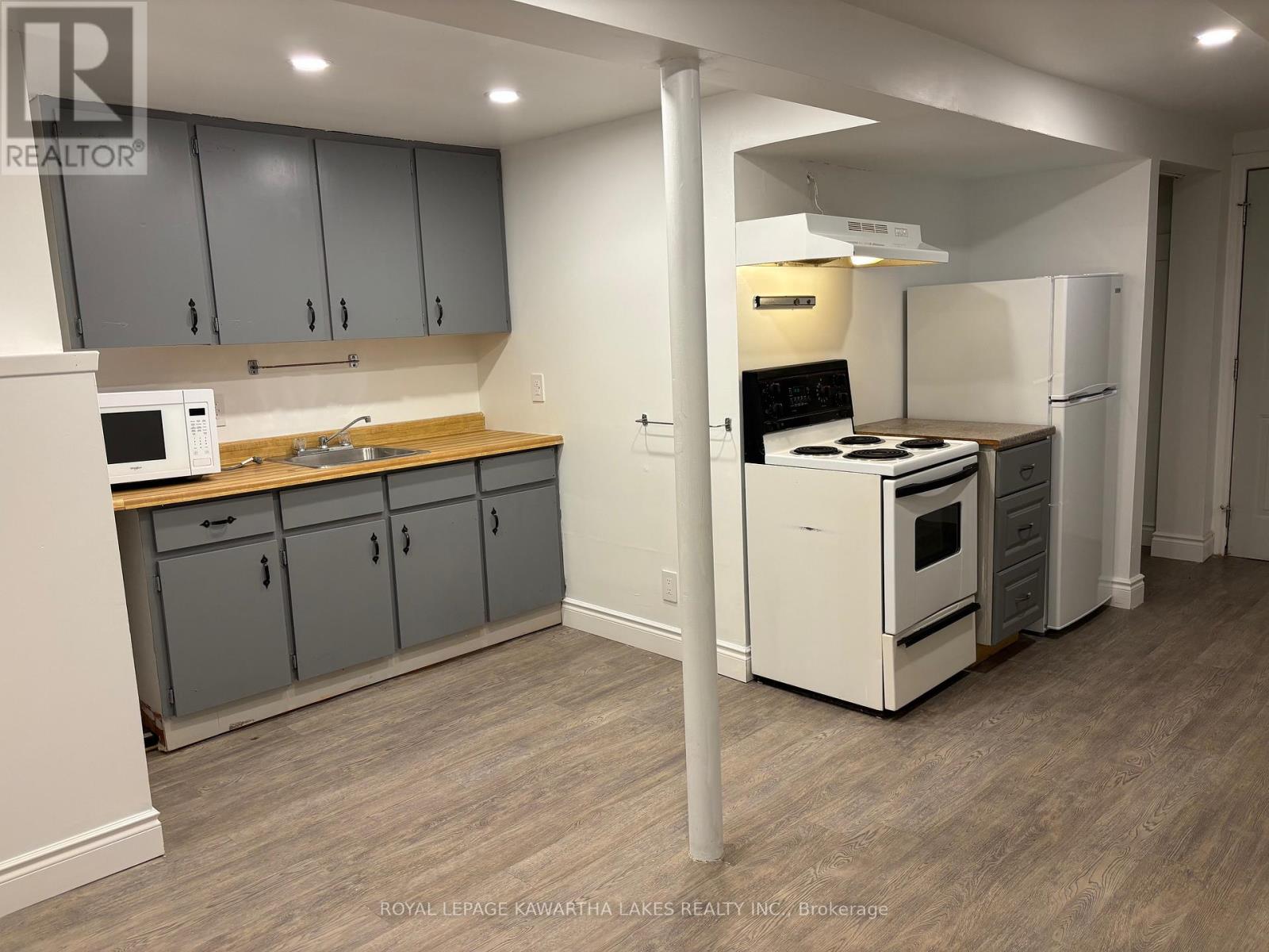 Lower - 128 Angeline Street N, Kawartha Lakes (Lindsay), Ontario  K9V 4N1 - Photo 4 - X12443104