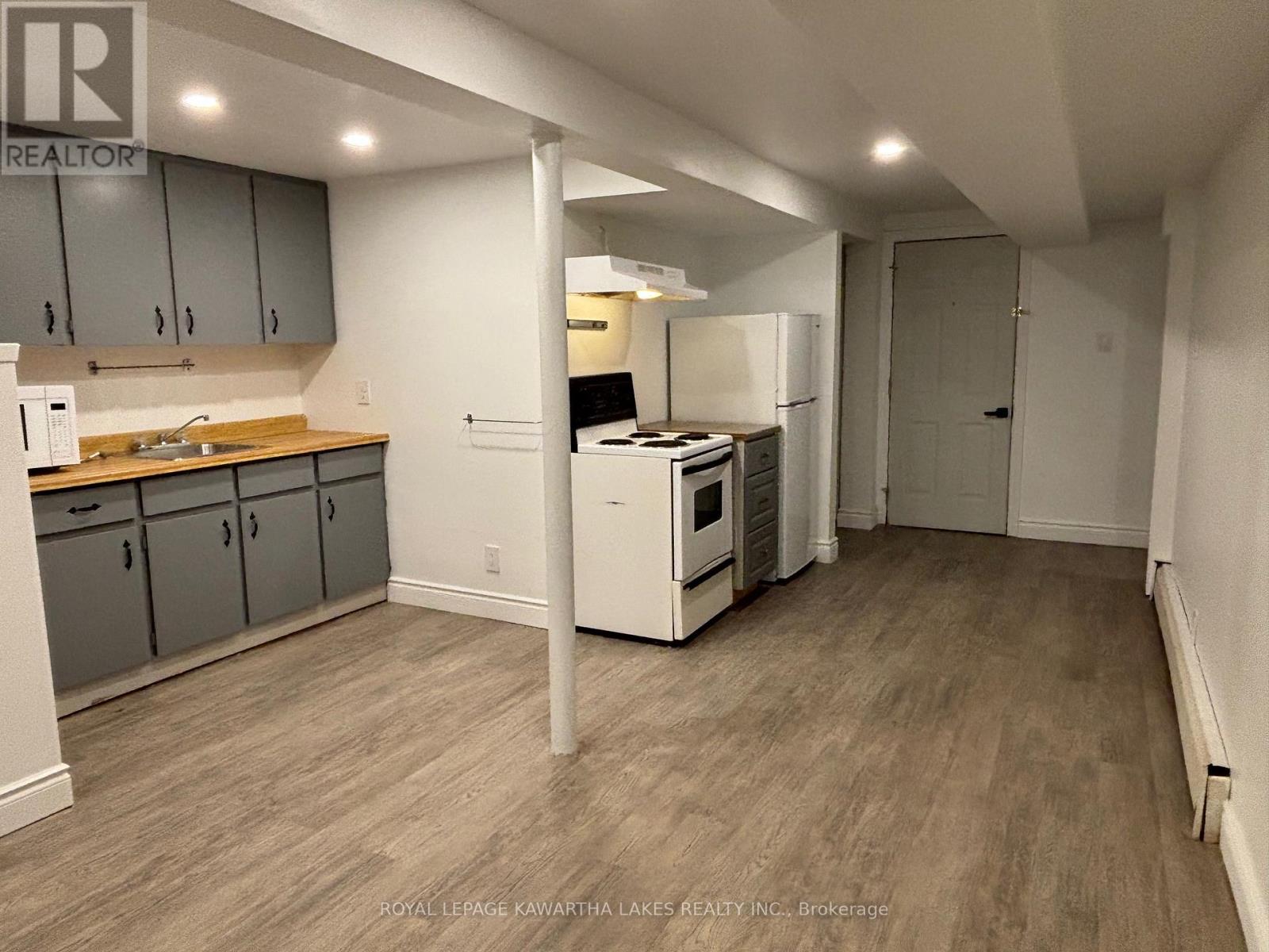 Lower - 128 Angeline Street N, Kawartha Lakes (Lindsay), Ontario  K9V 4N1 - Photo 5 - X12443104