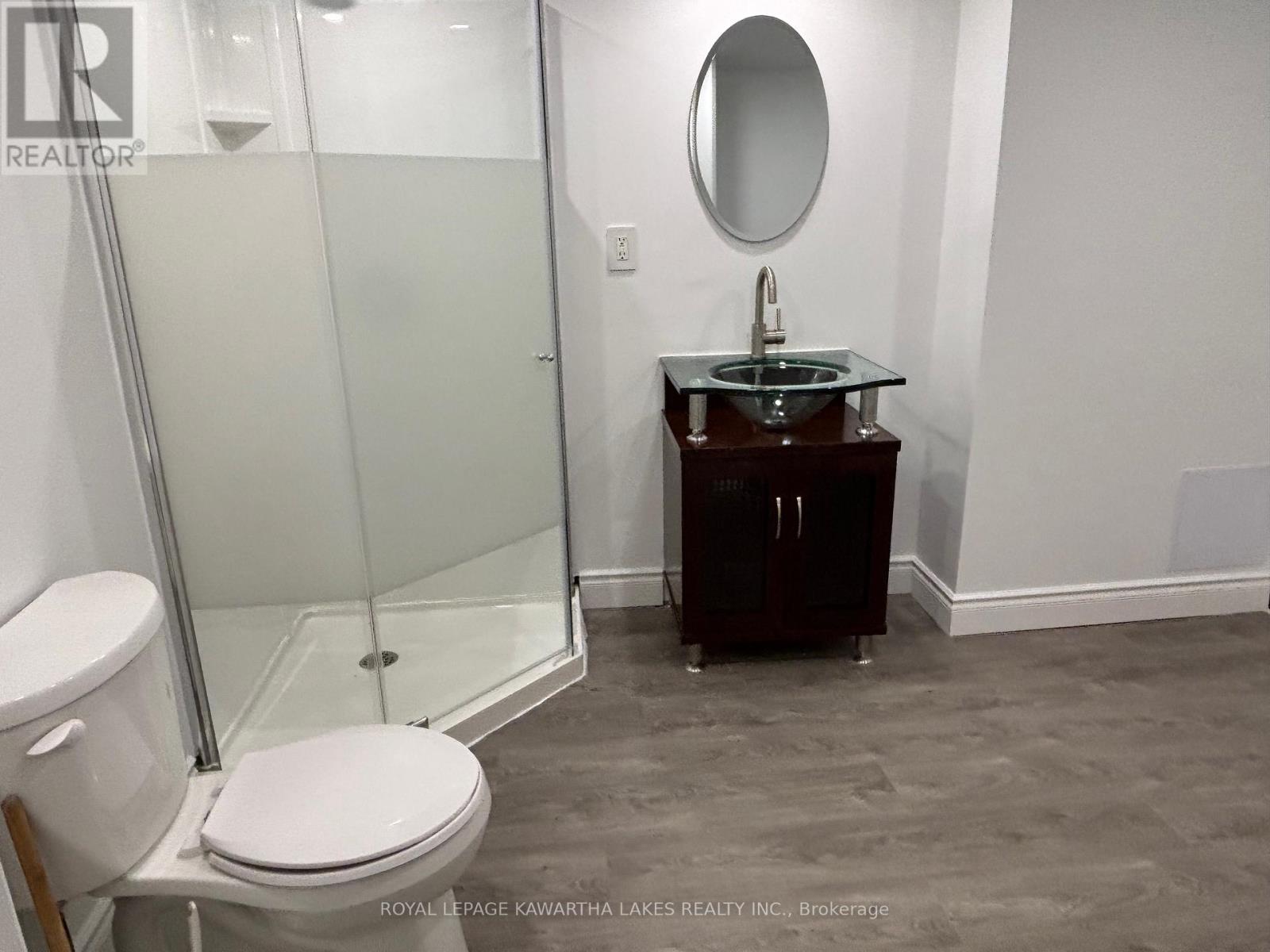 Lower - 128 Angeline Street N, Kawartha Lakes (Lindsay), Ontario  K9V 4N1 - Photo 8 - X12443104