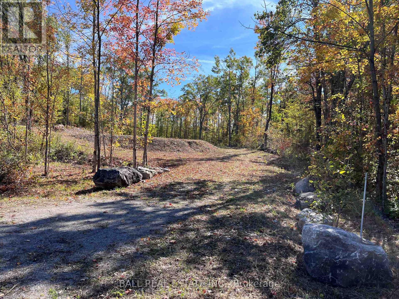 8 Hickson Road, Douro-Dummer, Ontario  K0L 2C0 - Photo 1 - X12443501