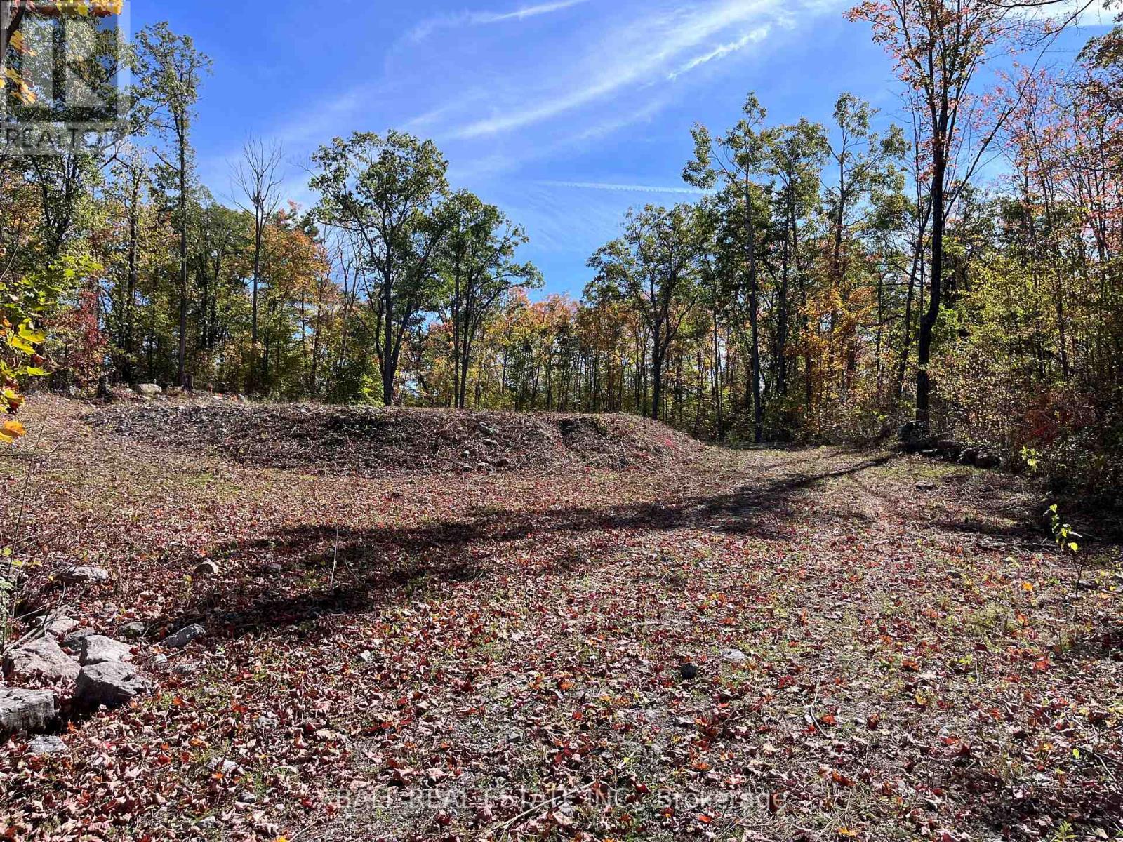 8 Hickson Road, Douro-Dummer, Ontario  K0L 2C0 - Photo 2 - X12443501