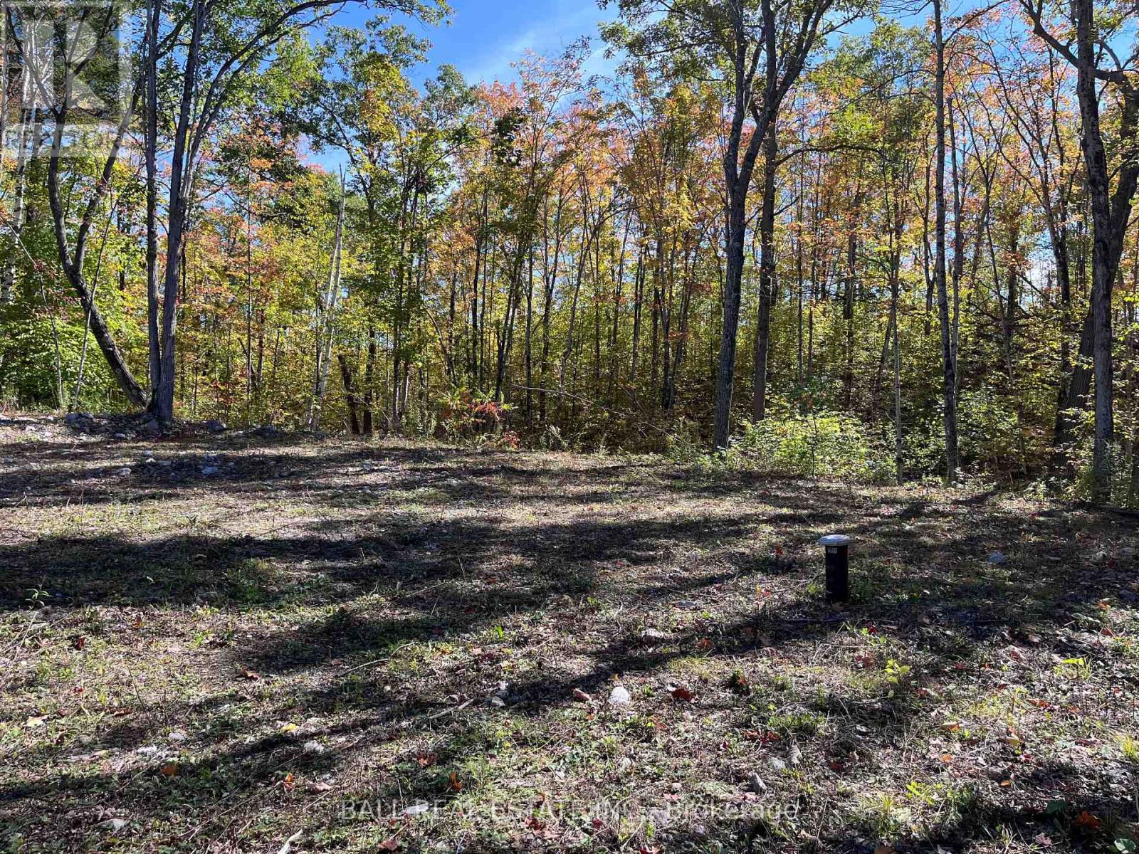 8 Hickson Road, Douro-Dummer, Ontario  K0L 2C0 - Photo 3 - X12443501